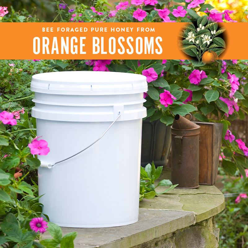 orange-blossom-honey-pail-sku-6.jpg