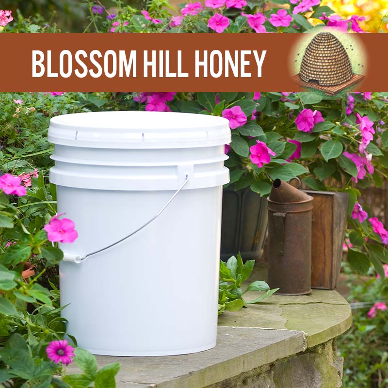 blossom-hill-honey-pail-sku-16.jpg